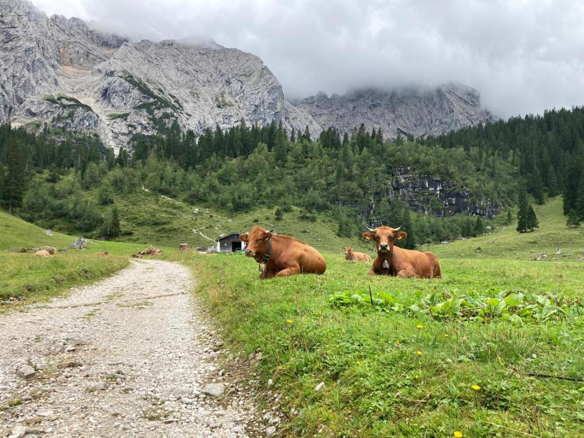 Haus Niklos - Wank Grainau Buitenkant foto